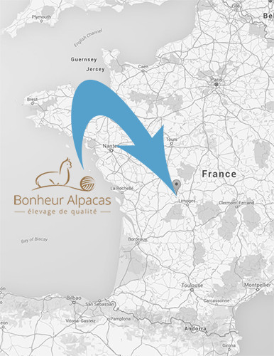 Alpaca breeders France